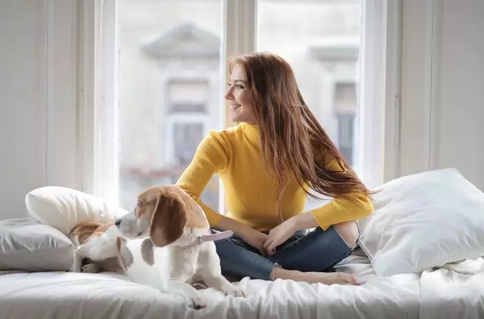 How To Take Best Family Portraits With Pets