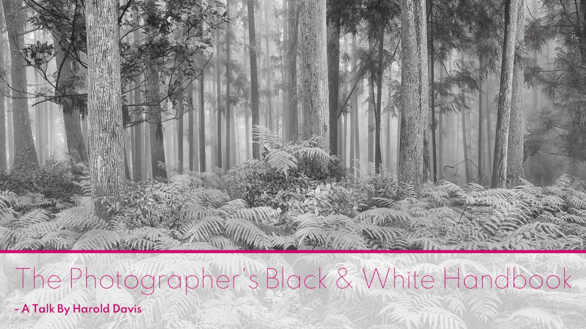 The Photographer’s Black & White Handbook – A Talk By Harold Davis