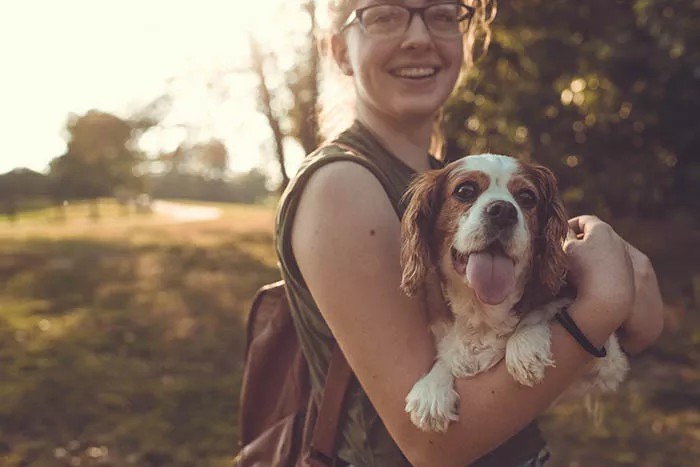 How Taking Pictures Of Pets Will Make You A Better Photographer