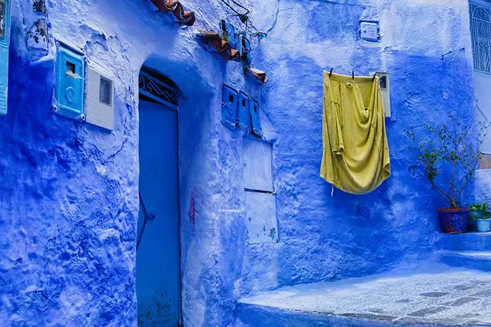 10 Tips For Using Vibrant Colors For Colorful Photography