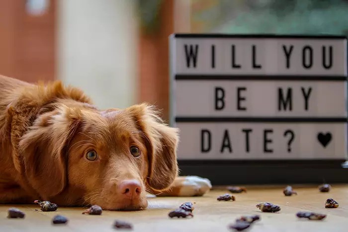 Get Creative With This 14 Awesome Valentine’s Day Photoshoot Ideas