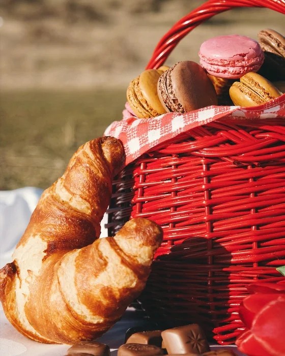 11 Amazing Fun And Creative Picnic Photography Ideas To Create Last Long Picnic Memories