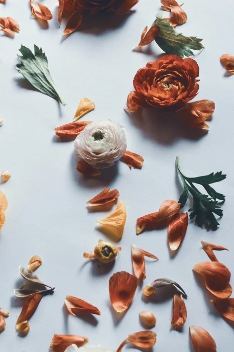 What Is Floral Flat Lay Photography And 6 Lovely Floral Flat Lay Photography Ideas