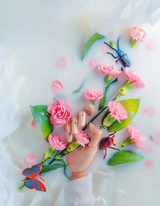 What Is Floral Flat Lay Photography And 6 Lovely Floral Flat Lay Photography Ideas